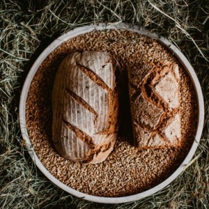 Brot Biohof Schafferbauer