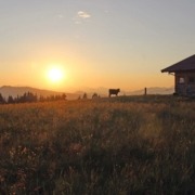 Sonnenuntergang Alm